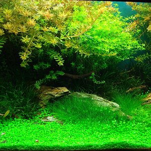 DSC06530