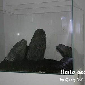 littleecospace009