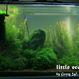 littleecospace016