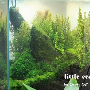 littleecospace017