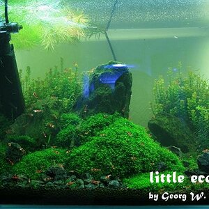 littleecospace029