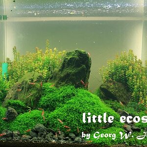 littleecospace032