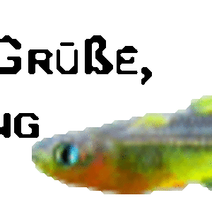 Signatur