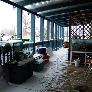Der frühe Wintereinbruch stoppte den Bau des 2. Moosbeckens auf der Veranda