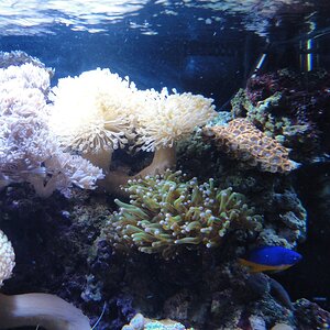 DSC02058