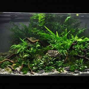 Mein Hannover Scape