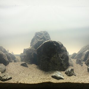 hardscape 02 1mb