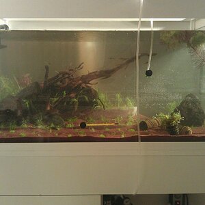 IMG 20111117 203256
