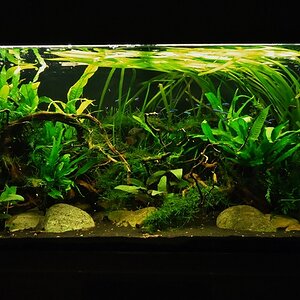 DSC02118 2