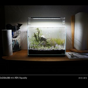 Glasgarten 360x250x280 mit ADA Aquasky Bild 01