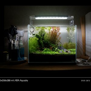 Glasgarten 360x250x280 mit ADA Aquasky Bild 02