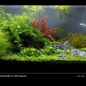 Glasgarten 360x250x280 mit ADA Aquasky Bild 10a