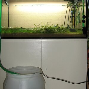Wasserwechsel 08.01.08 014-1