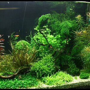 200l Feb08 Re S