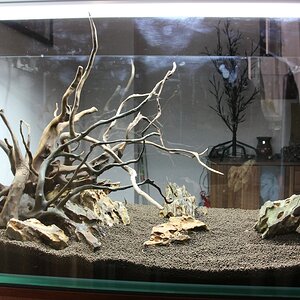 Hardscape5