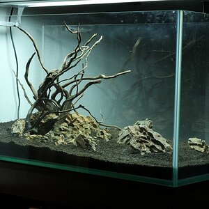 Hardscape1
