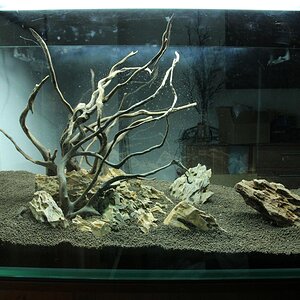 Hardscape2