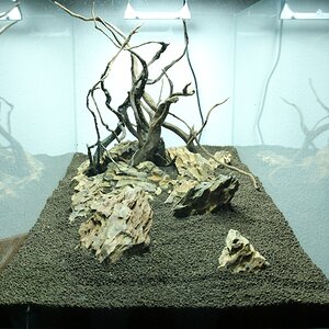 Hardscape3