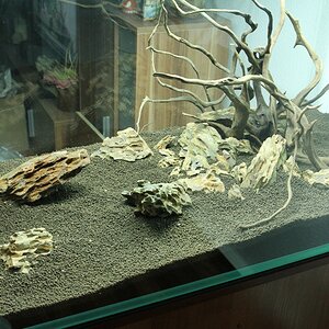 Hardscape5