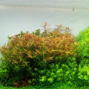 20130707 122635