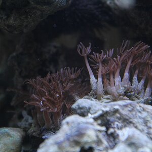 IMG 4511