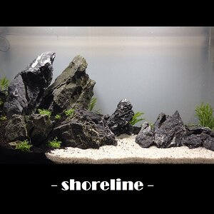 Tag 1 - shoreline