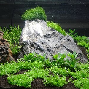 DSC01040