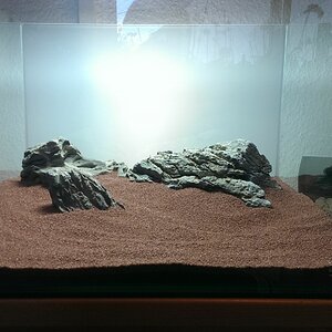 IMAG0077[1]