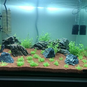 IMAG0088[2]