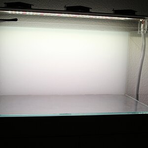 Becken 1