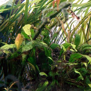 IMG 20140906 142329 (Large)