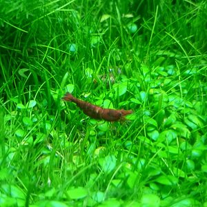 DSC 0036n