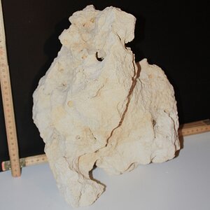IMG 0005