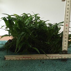 IMG 0414