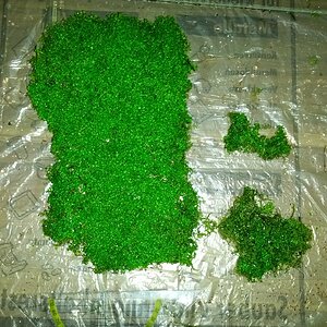 IMG 20150310 182618
