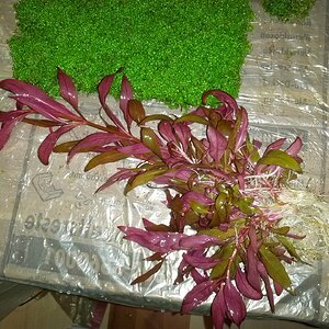 IMG 20150310 184010