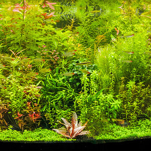 BF0 7632 stitch-2