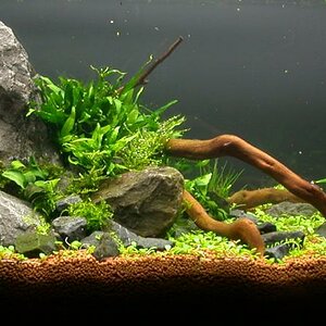 Ada60 - Tag - 10#1