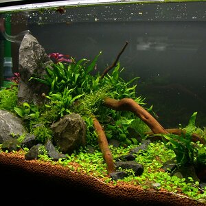 Ada60 - Tag - 12#2