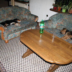 Wofür Ein Sofa