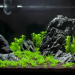 scape (1 of 1)-2