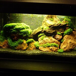 Aquarium alt 54l