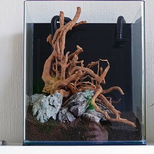 Aquascape 1 web