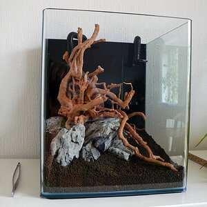 Aquascape 2 web