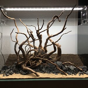 Hardscape komplett