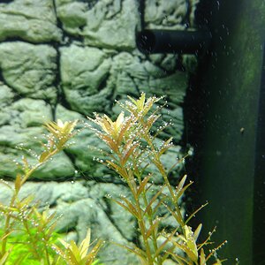 IMG 20161025 195250