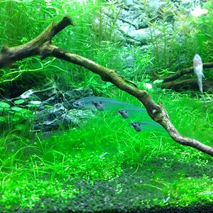 IMG 20161027 191508