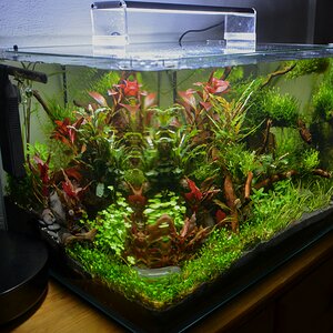 Scapers Tank 50l Okt 2016 Seite