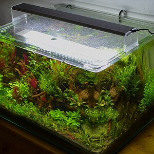 Scapers Tank 50l Nov 2016 schräg oben