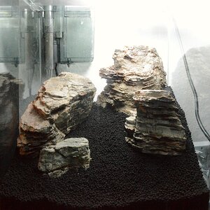 Hardscape